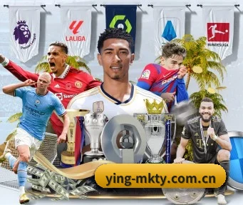ying-mkty.com.cn APP